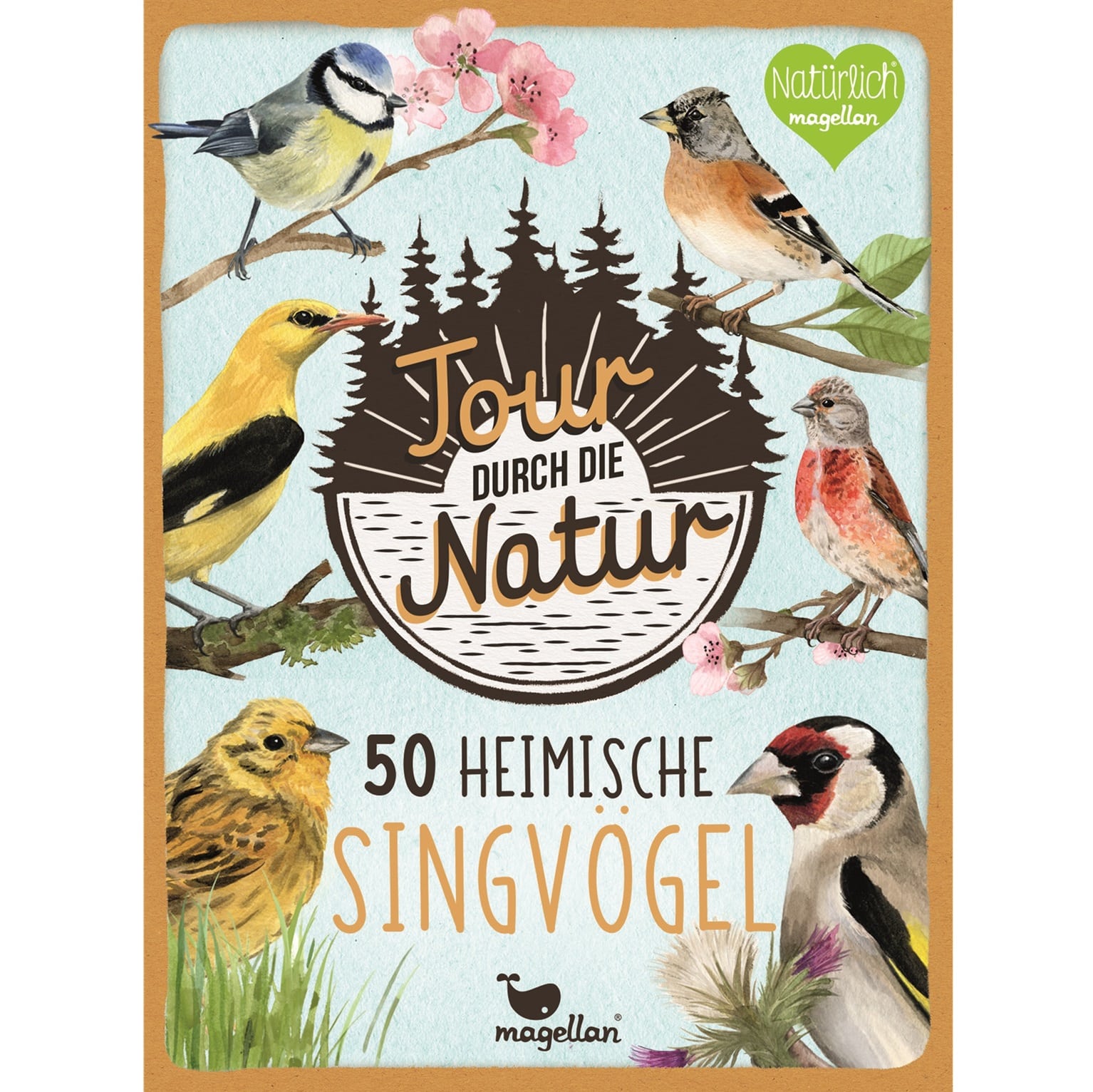 Bestimmungskarten-Set Tour durch die Natur - 50 heimische Singvögel