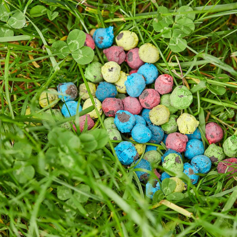 Die Stadtgärtnerei Colourful Seedbomb Marbles