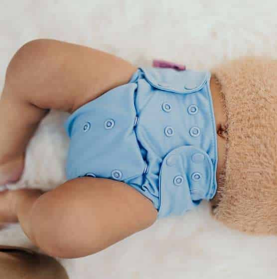 Petite Crown Cloth Nappy OS - Morning Blue
