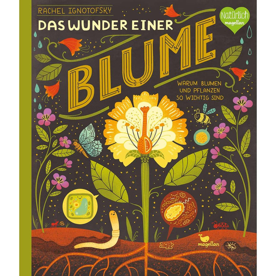 Sachbilderbuch Rachel Ignotofsky Das Wunder einer Blume-sachwissen-blumen-natur-retrostil-6051-cover