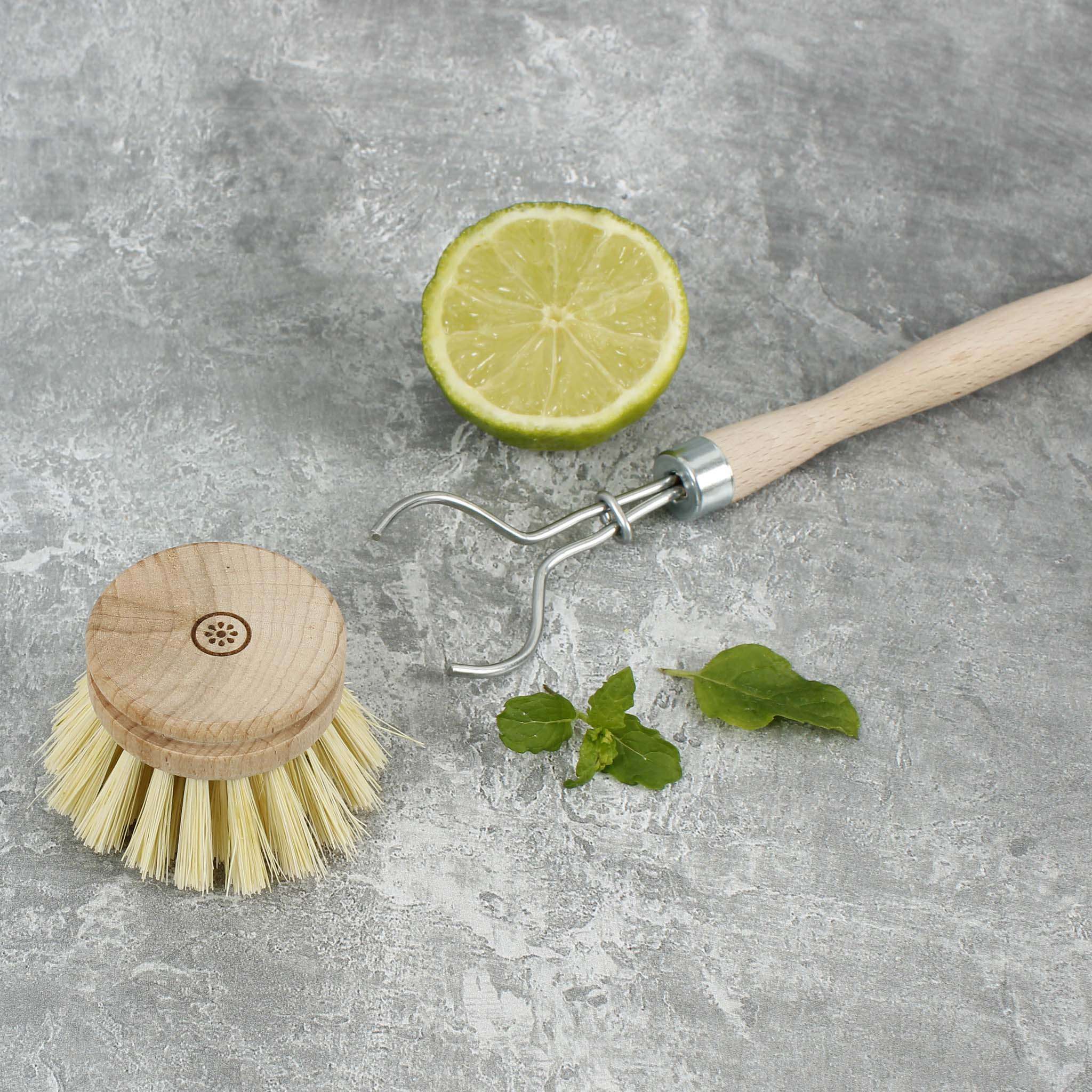 A Slice of Green Wooden Head for Dish Brush - Plant Based Bristles