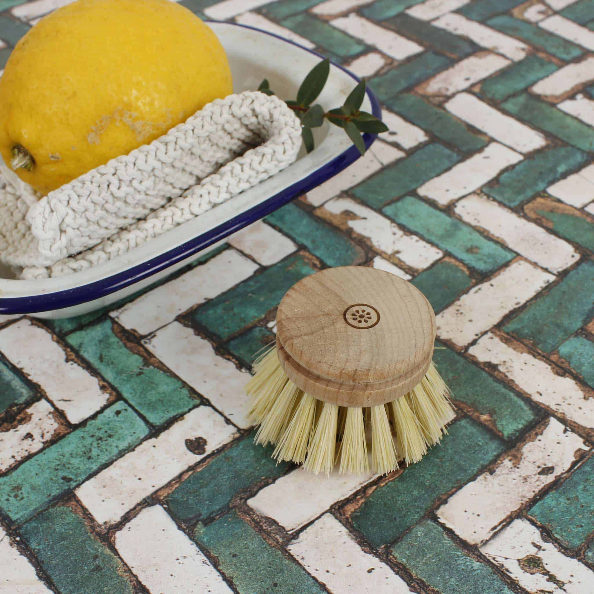 A Slice of Green Wooden Head for Dish Brush - Plant Based Bristles