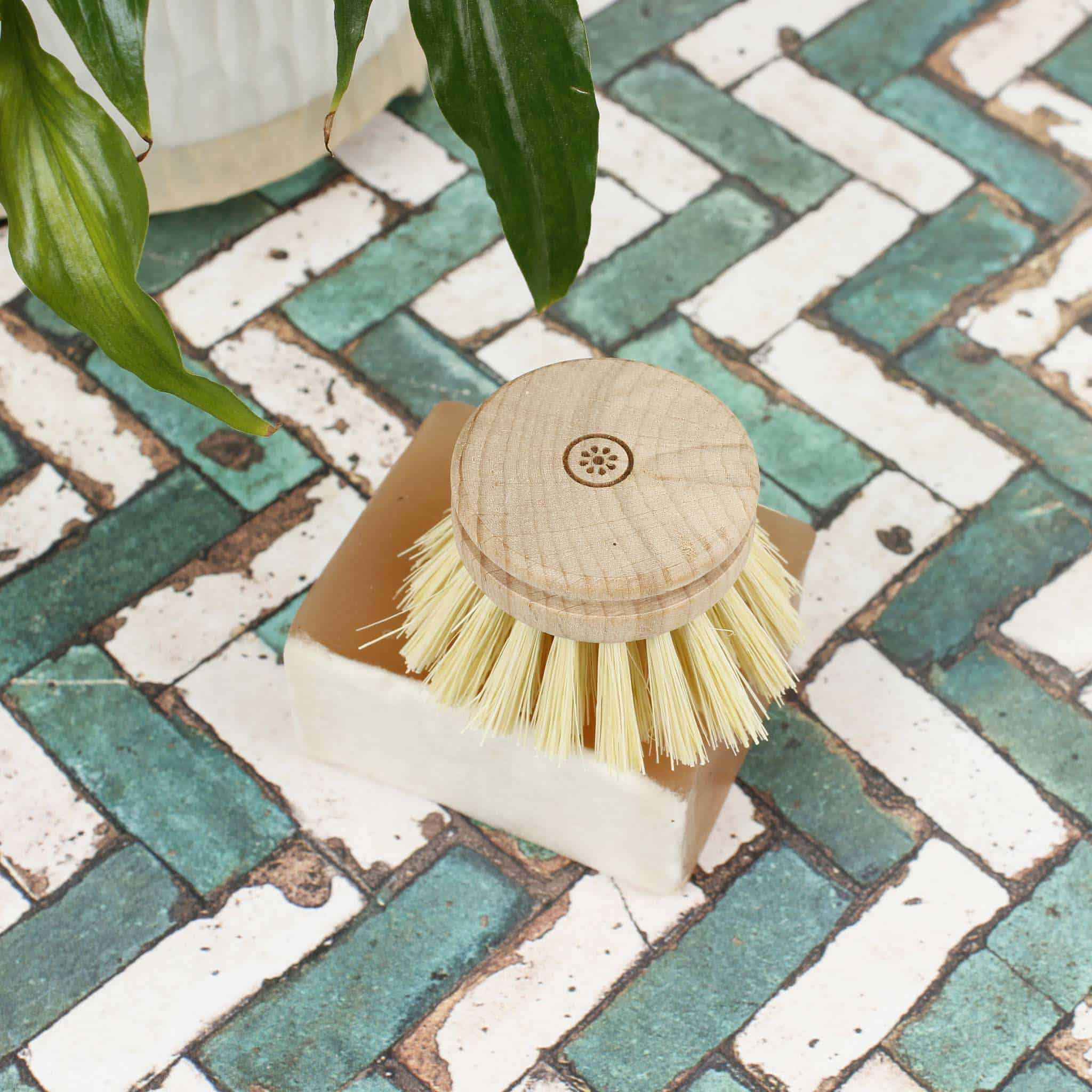 A Slice of Green Wooden Head for Dish Brush - Plant Based Bristles