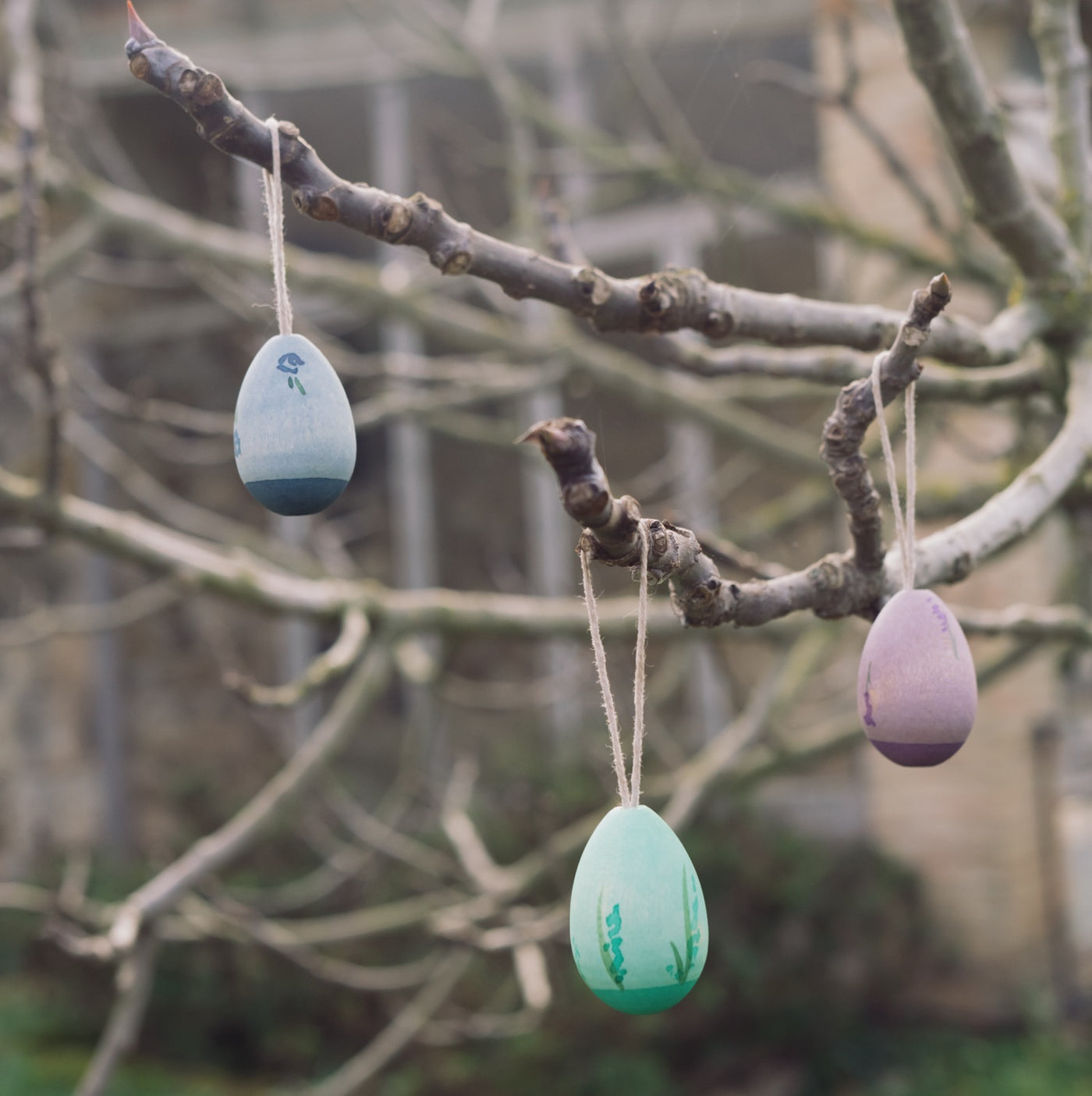 Grapat Aurora Eggs 