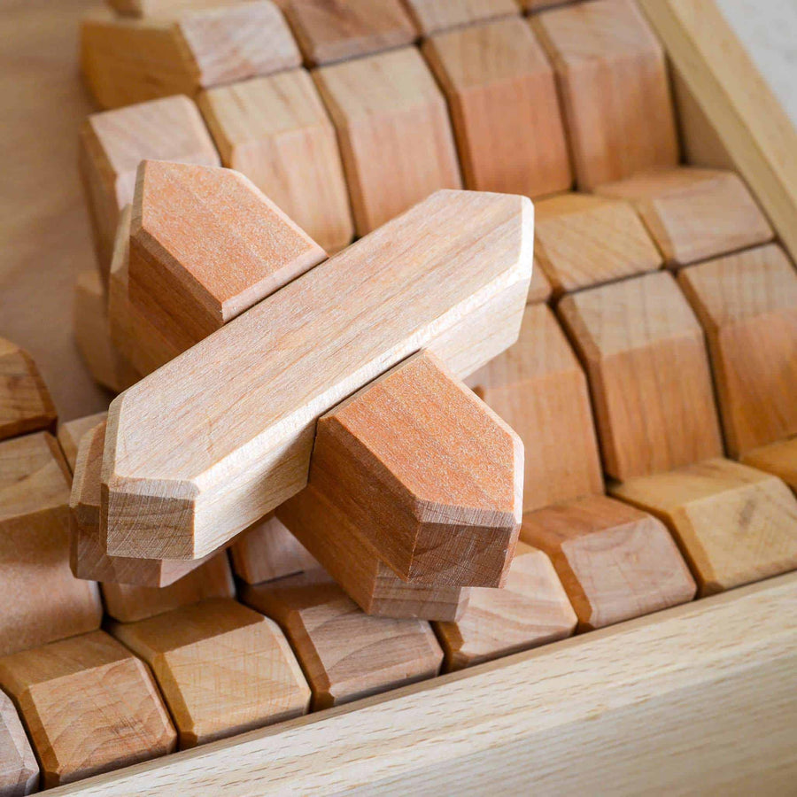 Bauspiel X-Blocks bricks 48 pieces
