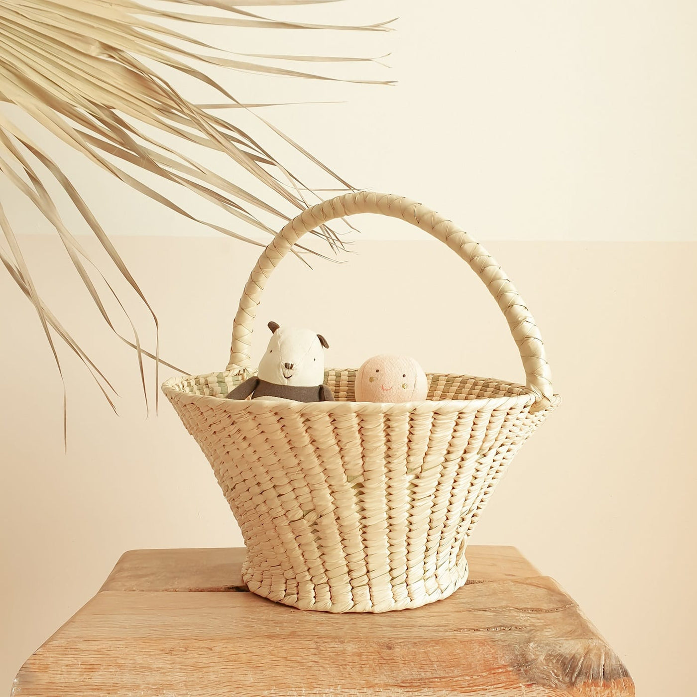 Coconeh Basket Yaualtik