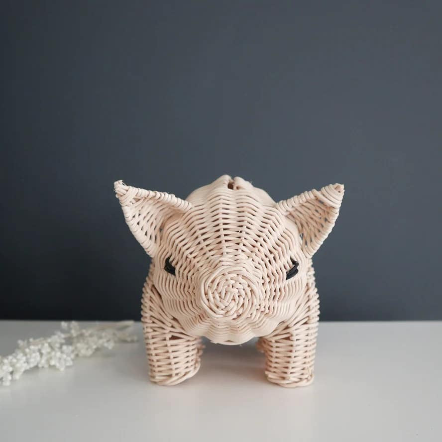 Coconeh Money Pig Bank