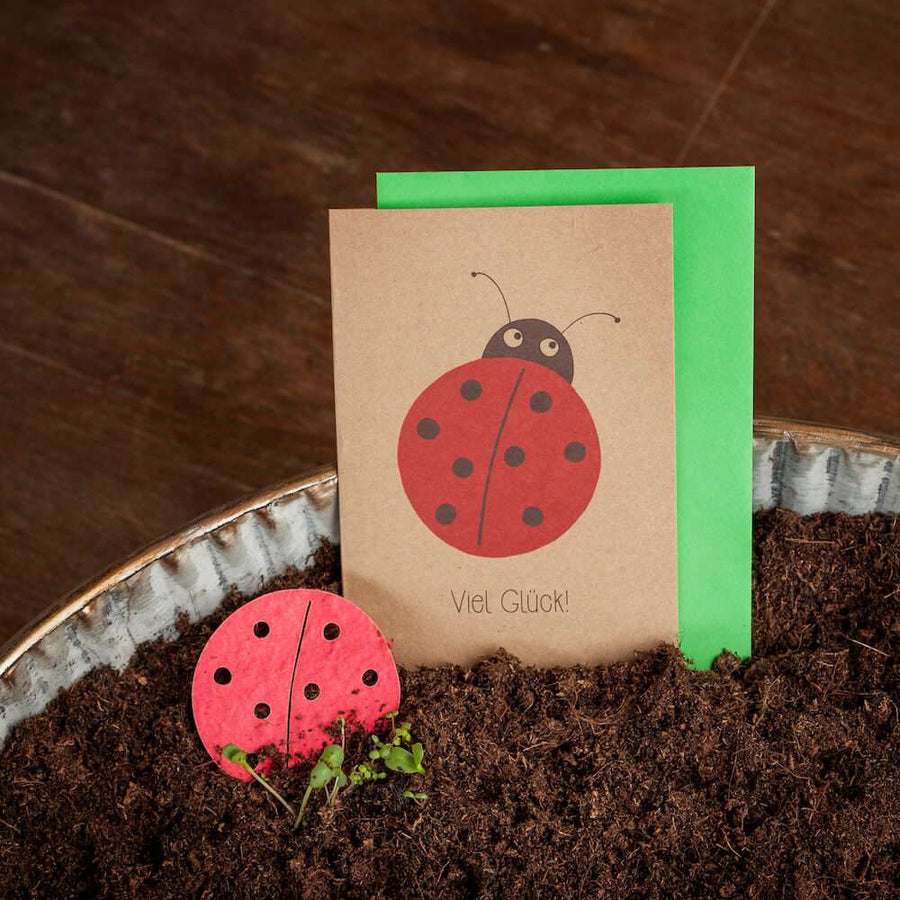 Die Stadtgärtner - greeting seed card - Viel Glück - Ladybug (2)