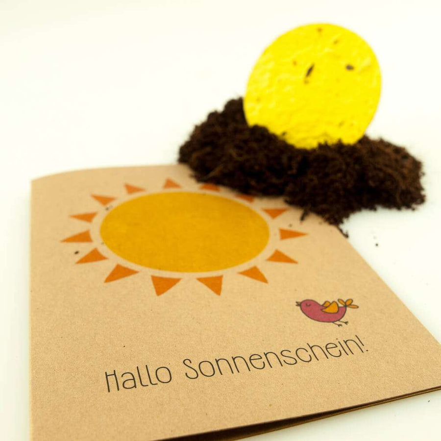 Die Stadtgärtner - greeting seed card - sunshine Sonnenschein (2)