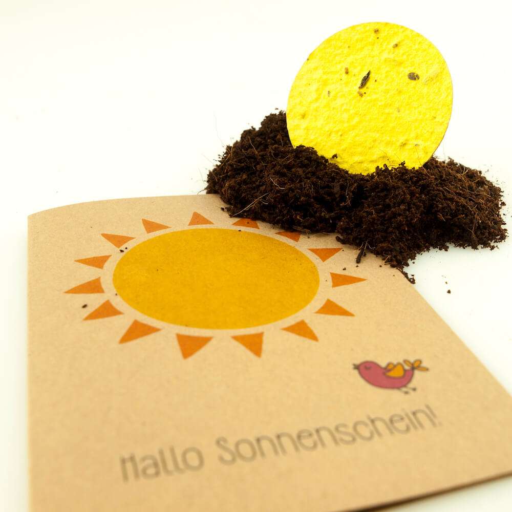 Die Stadtgärtner - greeting seed card - sunshine Sonnenschein (3)