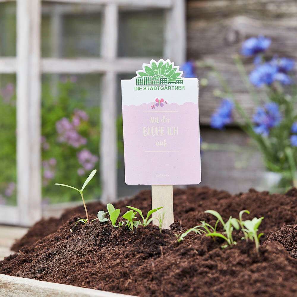 Die Stadtgärtner seed greetings - mit dir blühe ich auf