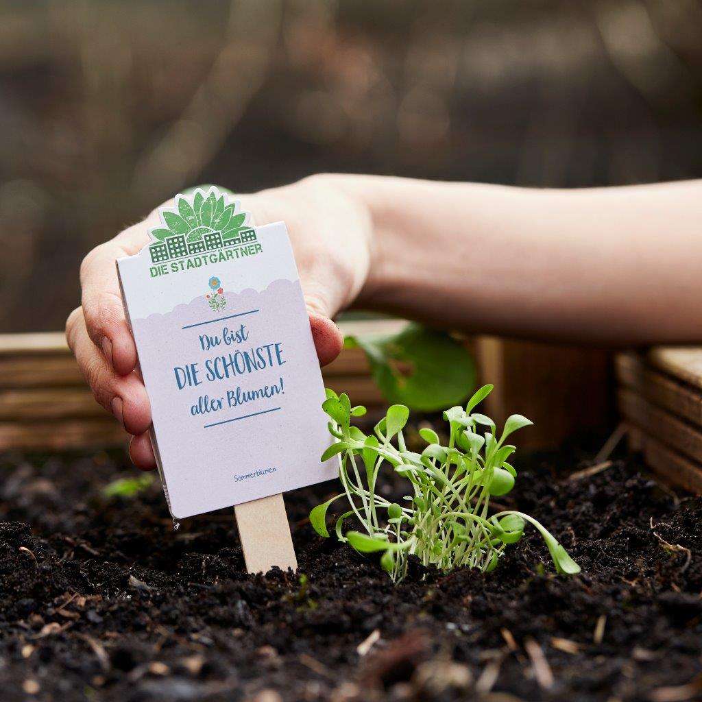 Die Stadtgärtner seed greetings - schönste aller Blumen