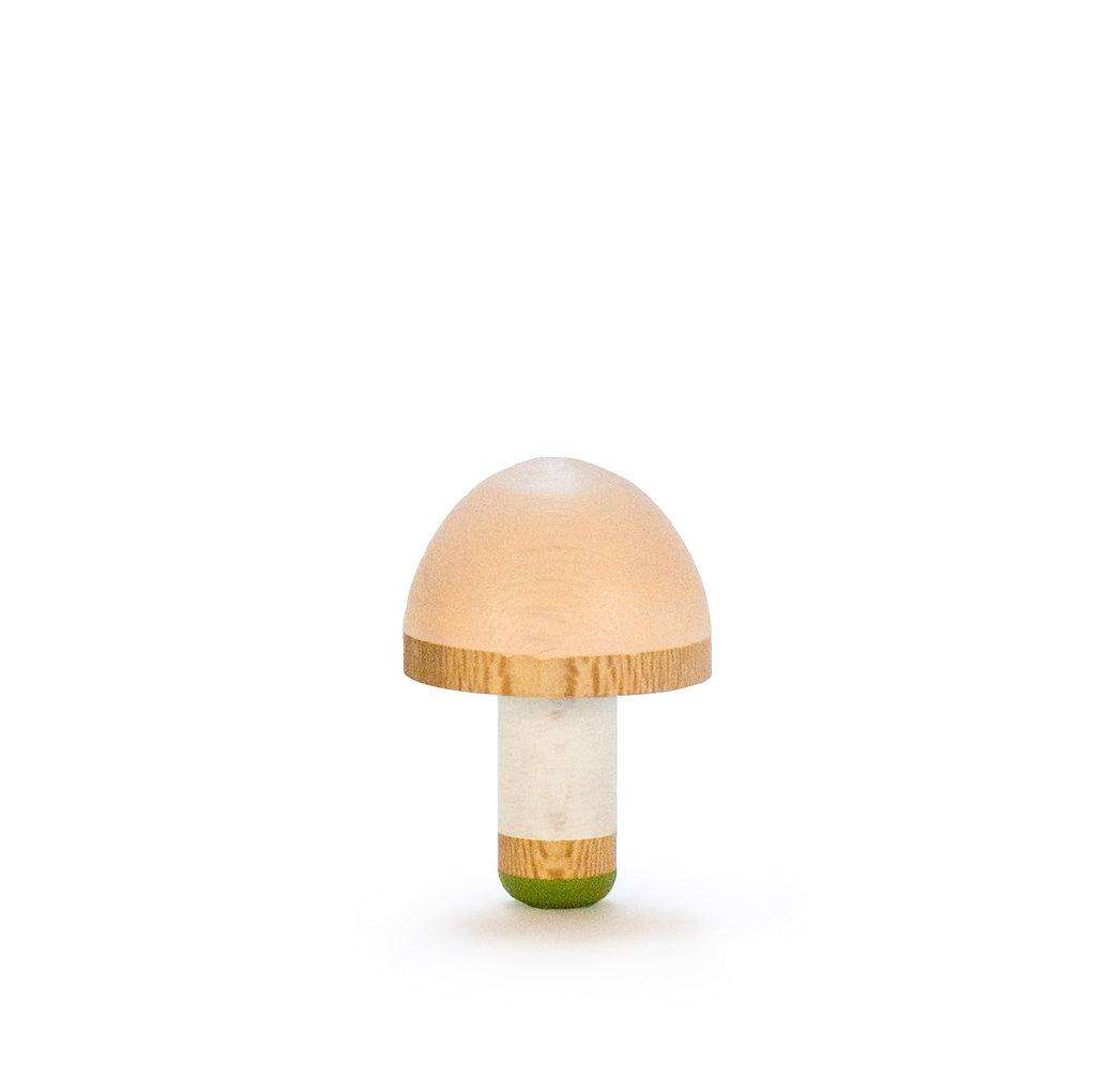 Eperfa Spinning Top mushroom - gambosa