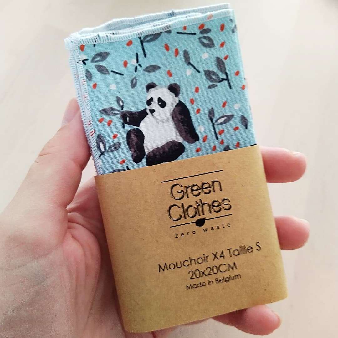 Green Clothes Hankies Washable Tissues (4 Pack) - Petit Ours