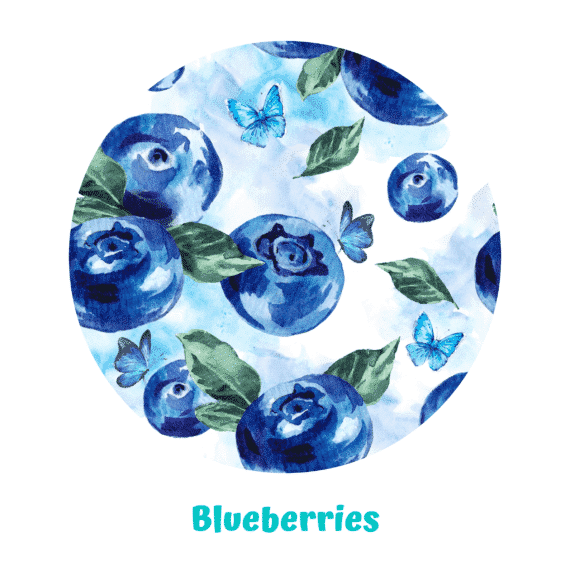 Little Birds Blueberries print