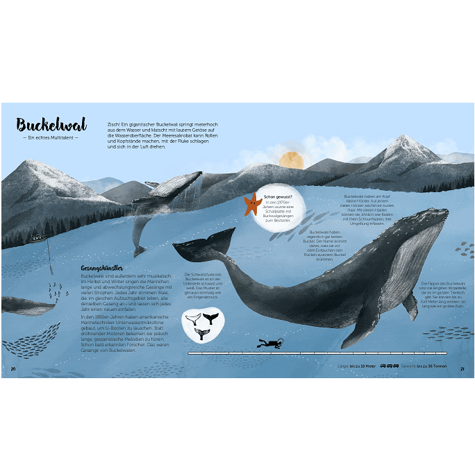 Little Gestalten. Die Welt der Wale by Darcy Dobell & Becky Thorns