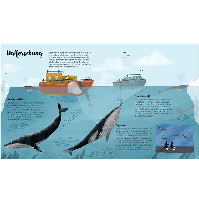 Little Gestalten. Die Welt der Wale by Darcy Dobell & Becky Thorns