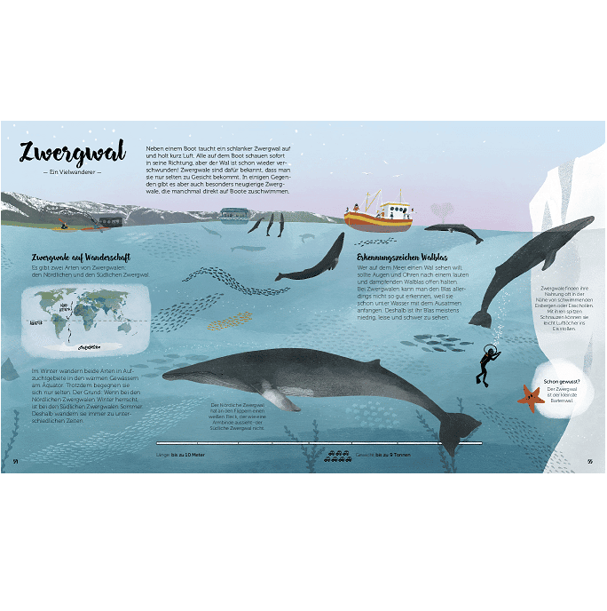 Little Gestalten. Die Welt der Wale by Darcy Dobell & Becky Thorns