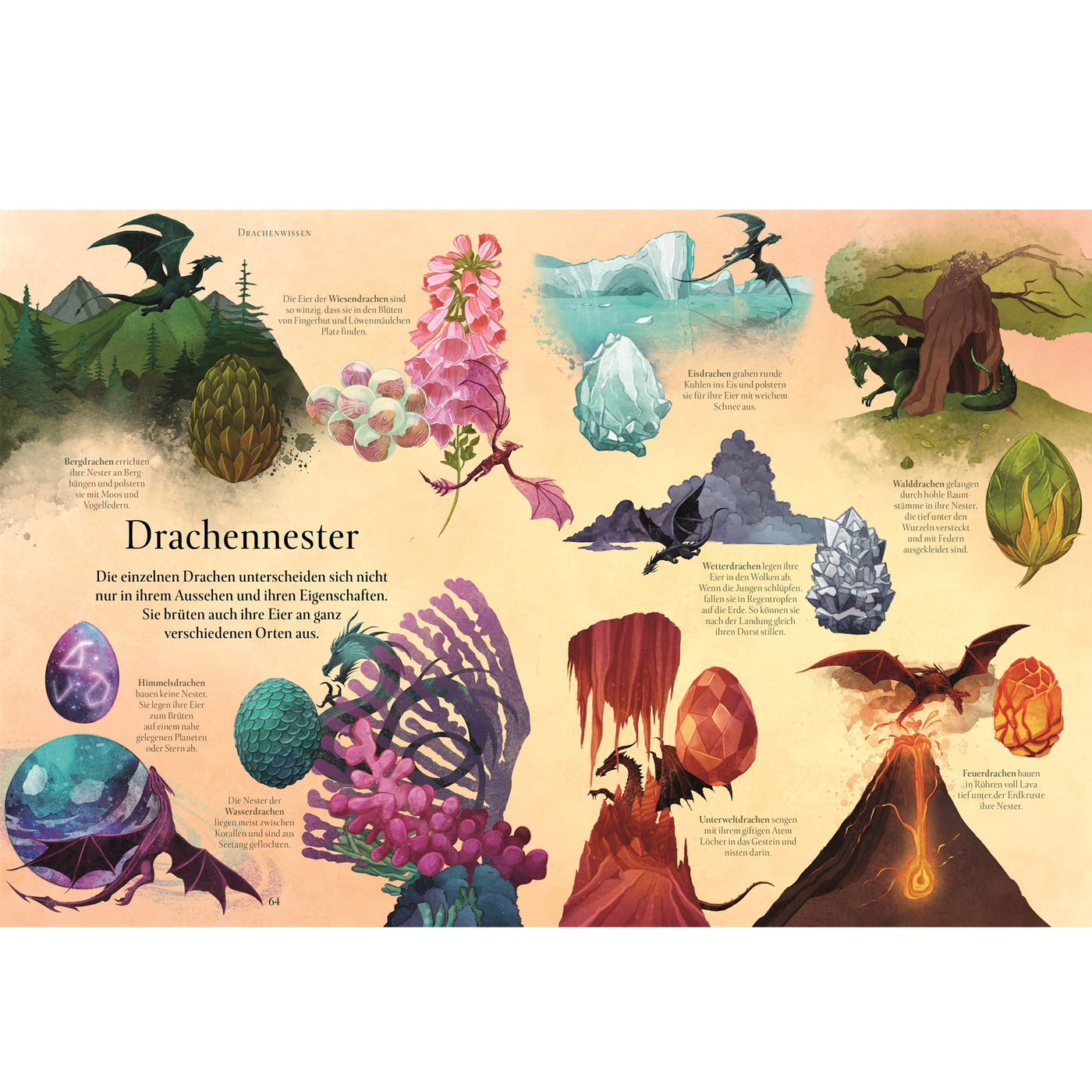 Magische Welt der Drachen by Macfarlane and Fusi