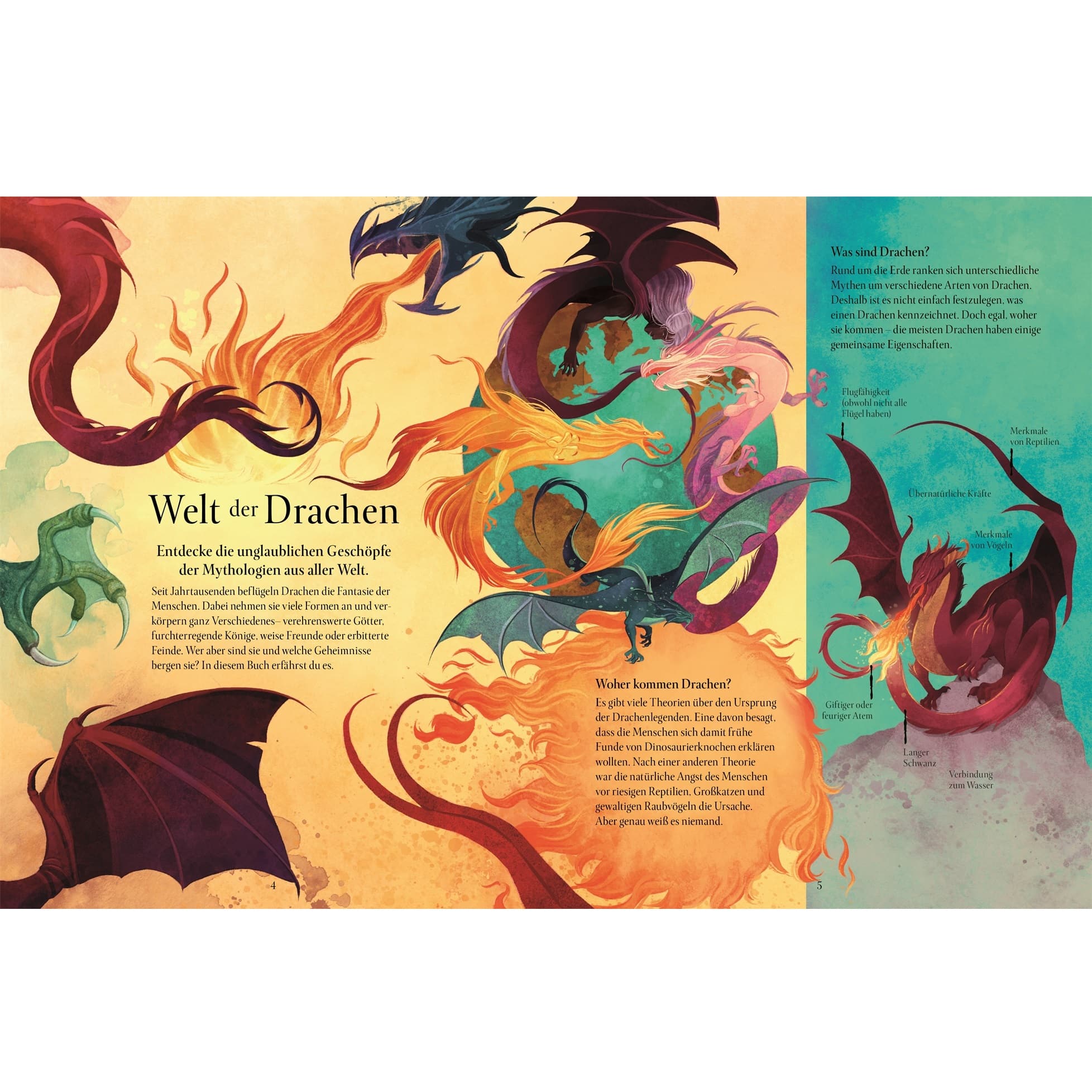 Magische Welt der Drachen by Macfarlane and Fusi