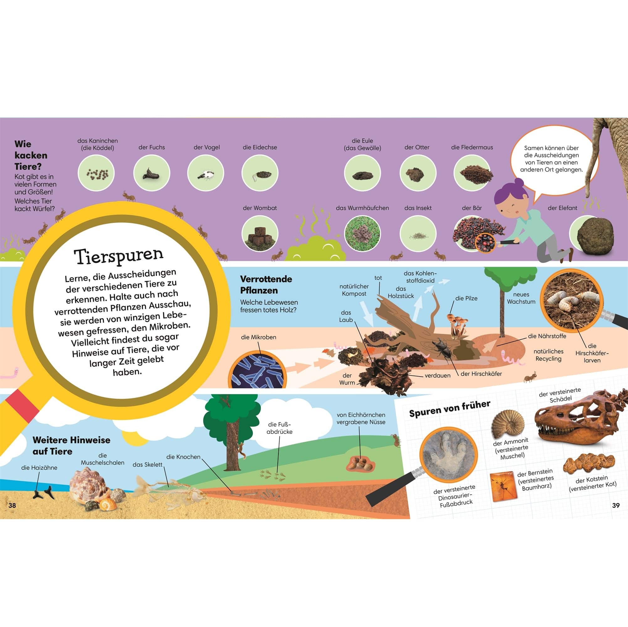 Natur-Bilderbuch 1000 erste Wörter. Natur (4)