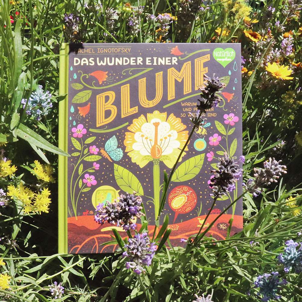 "Das Wunder einer Blume" by Rachel Ignotofsky