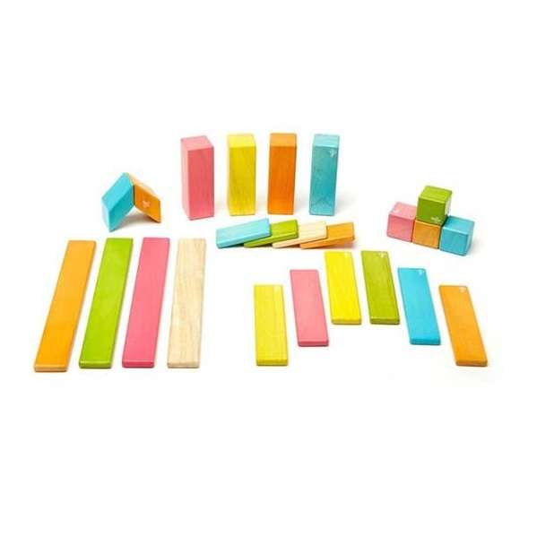 Tegu Magnetic Wooden Blocks Classics - Colourful 24 pieces