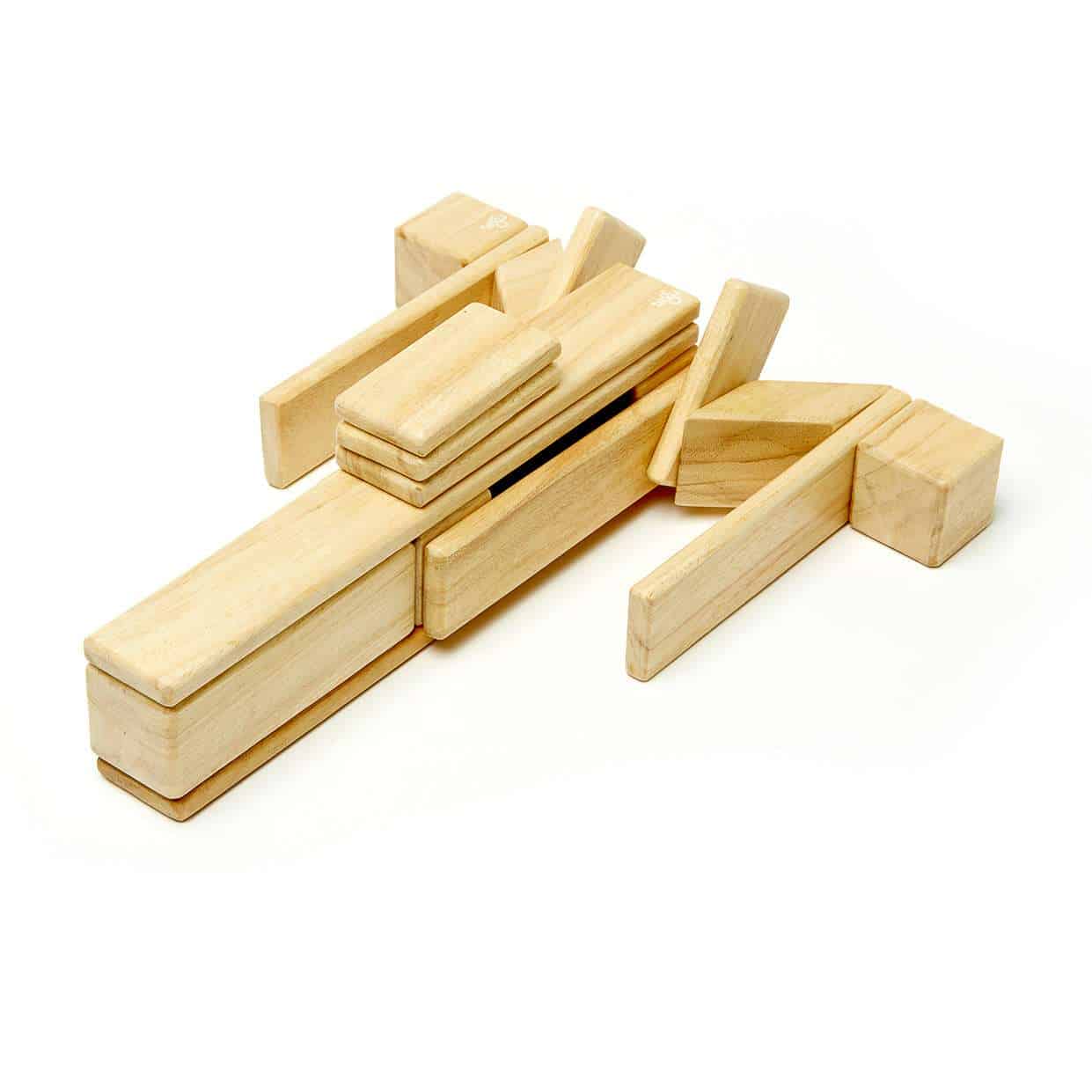 Tegu Magnetic Wooden Blocks (Classics - Natural, 24 pieces)