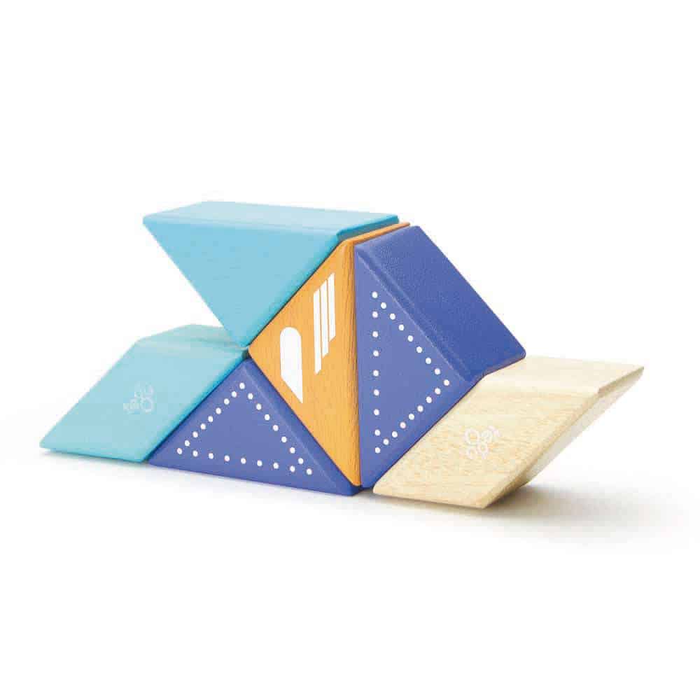 Tegu Travel Pals Jet Plane (6 pieces)