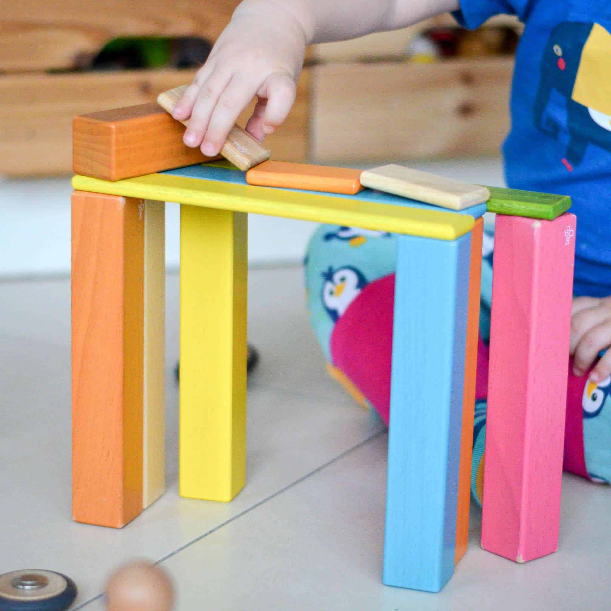 Tegu colourful magnetic wooden building blocks