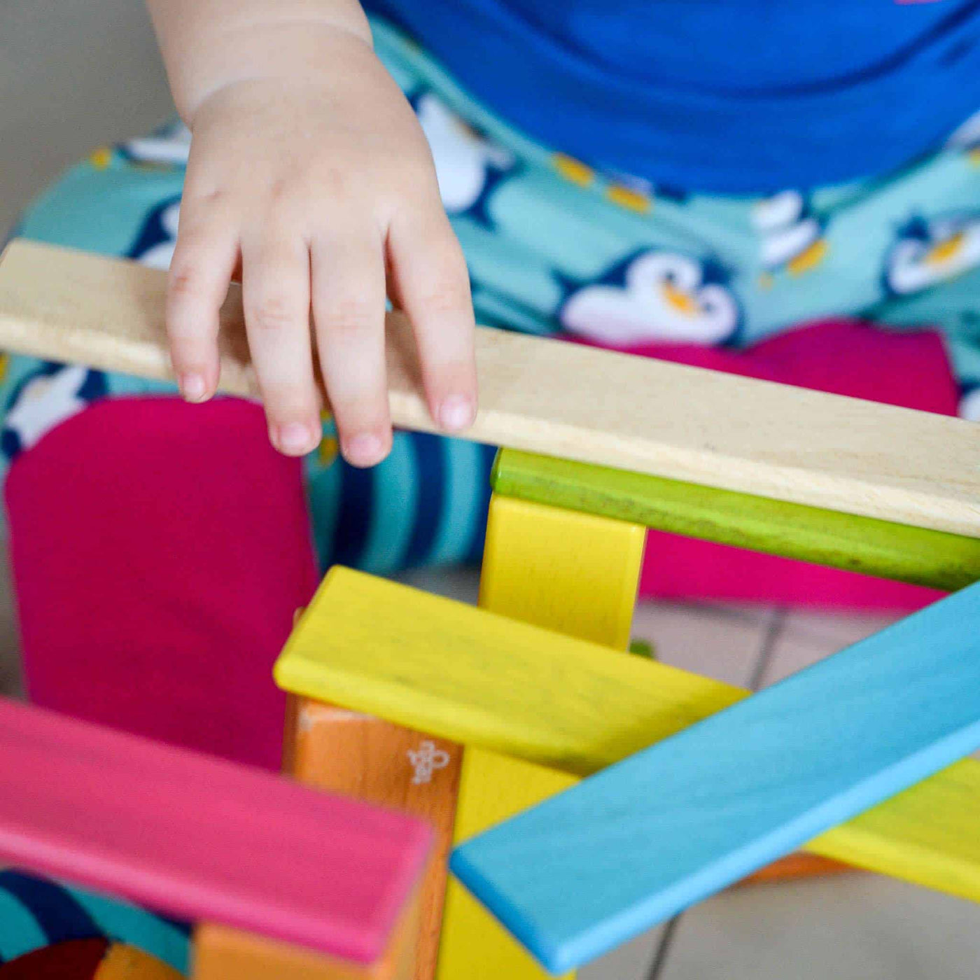 Tegu colourful magnetic wooden building blocks