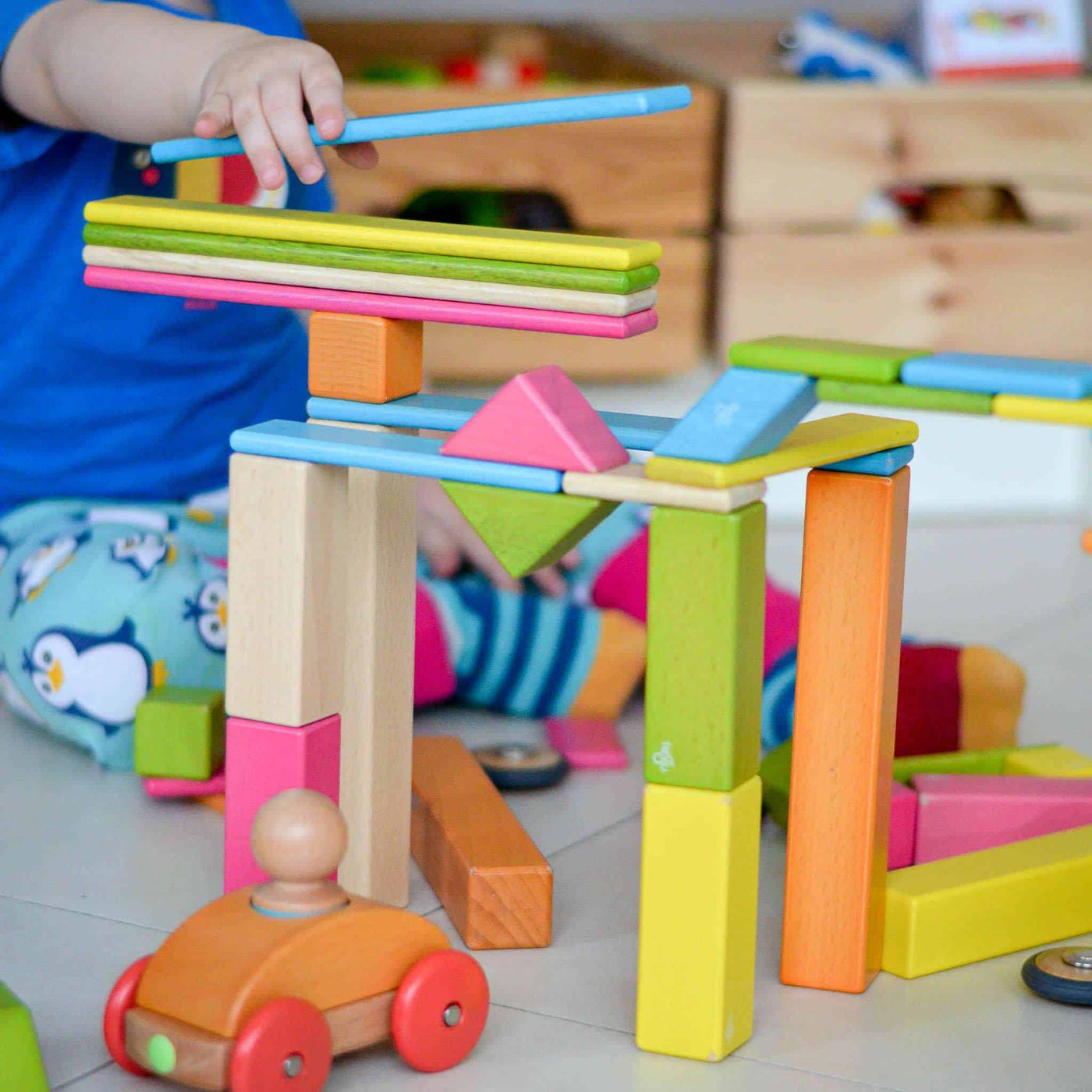 Tegu colourful magnetic wooden building blocks