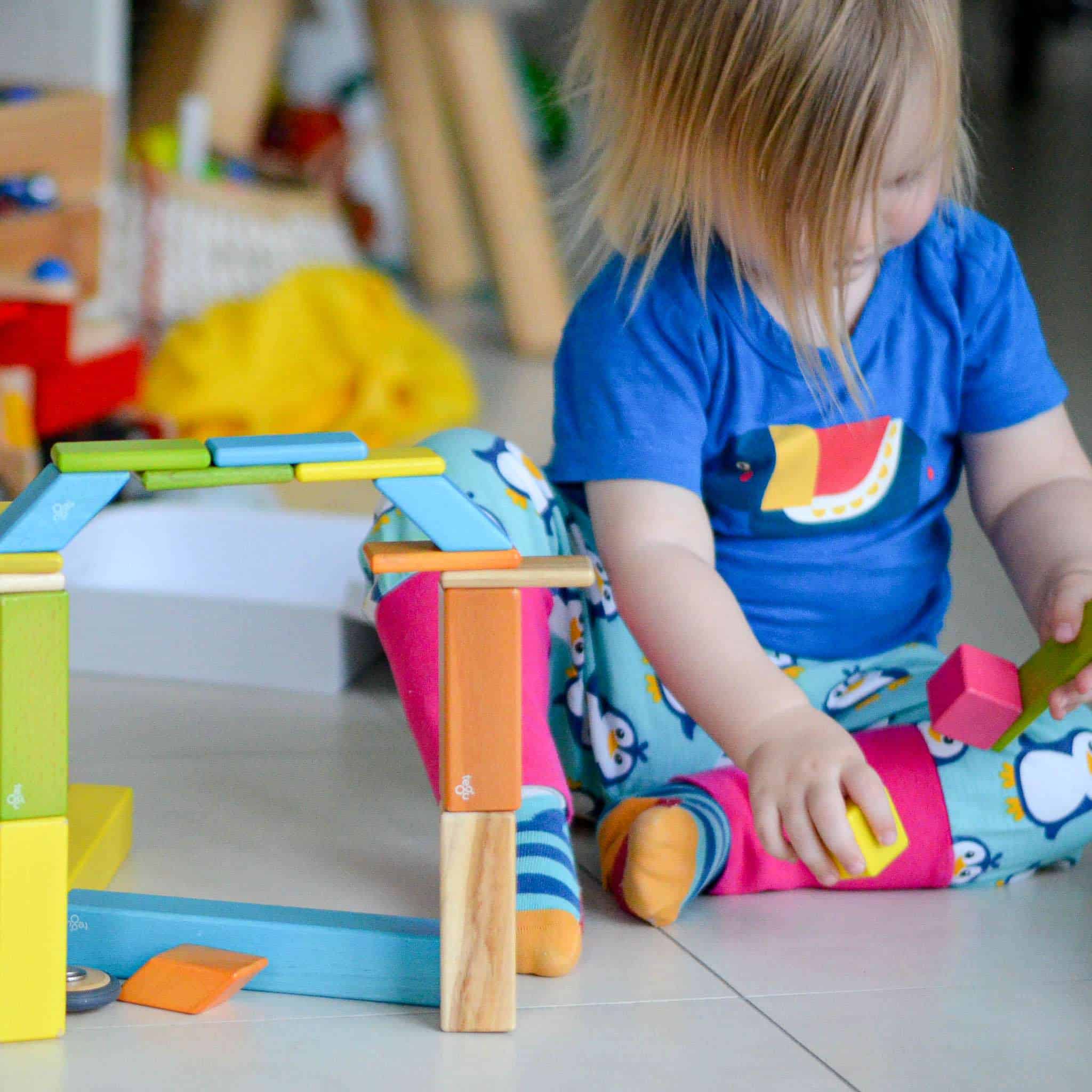 Tegu colourful magnetic wooden building blocks