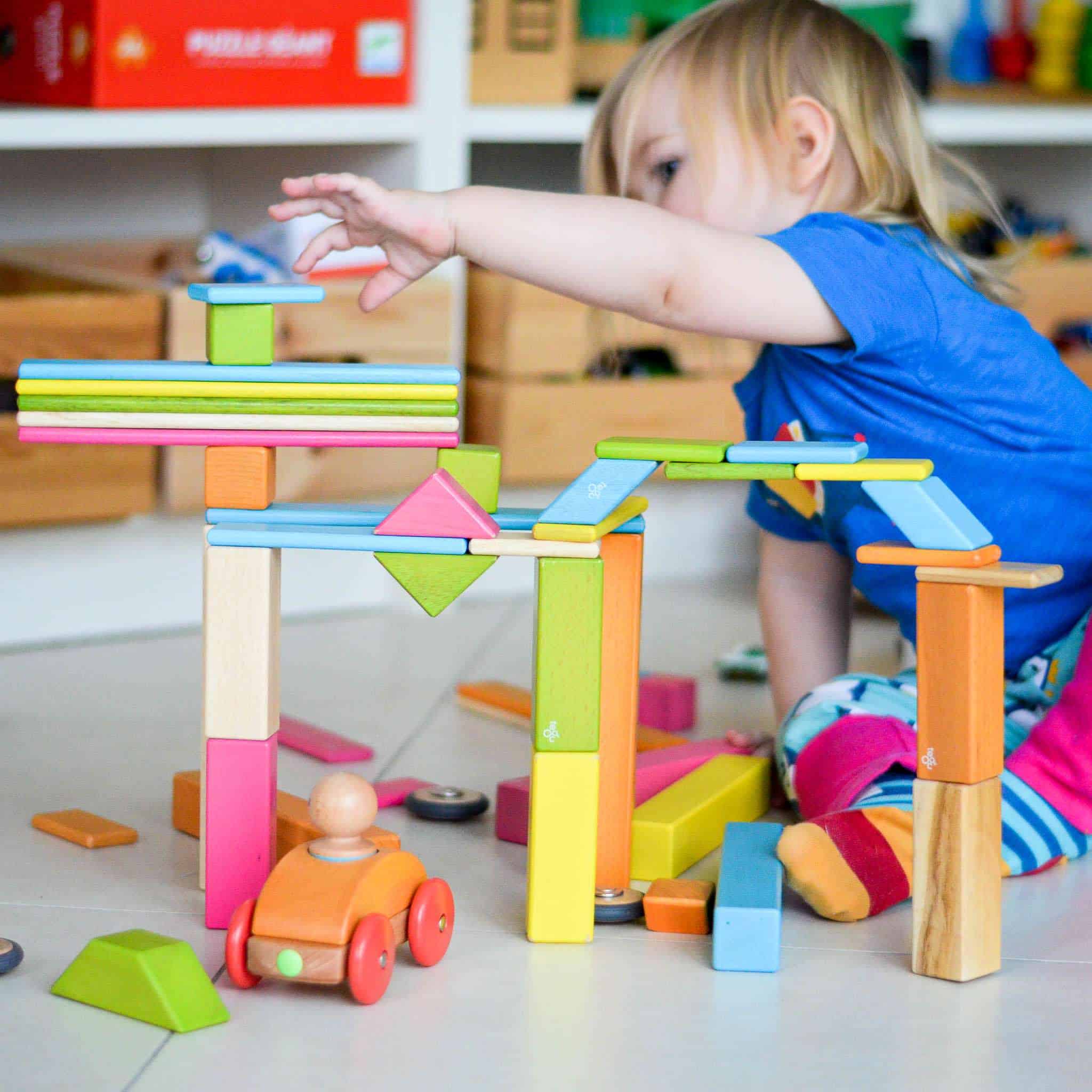 Tegu colourful magnetic wooden building blocks